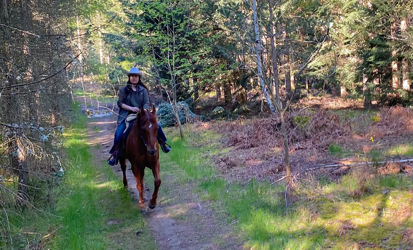 Wandelingen maken om in vorm te blijven