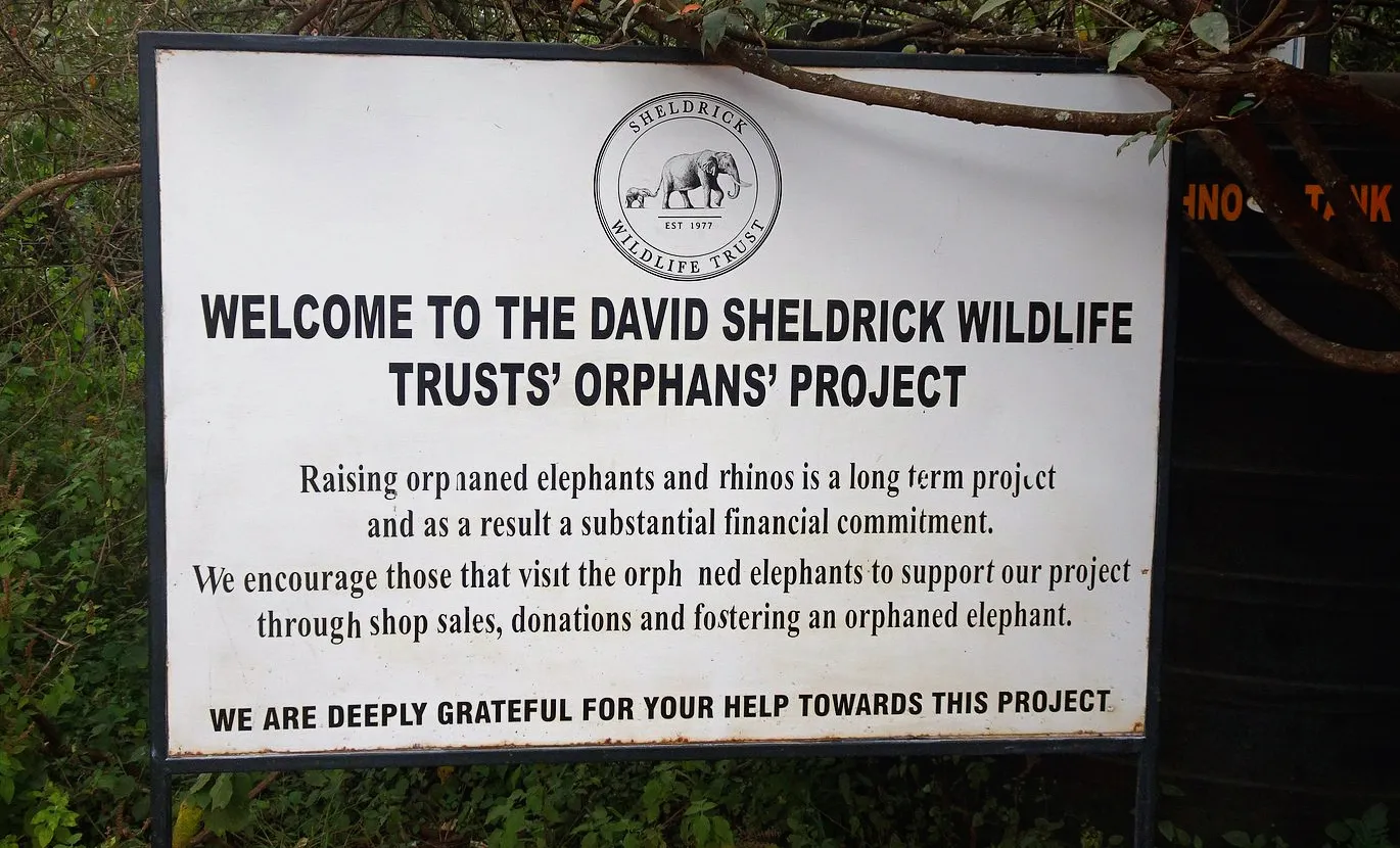 Project by Daphné Sheldrick in tribute to her husband David, great defender of elephants