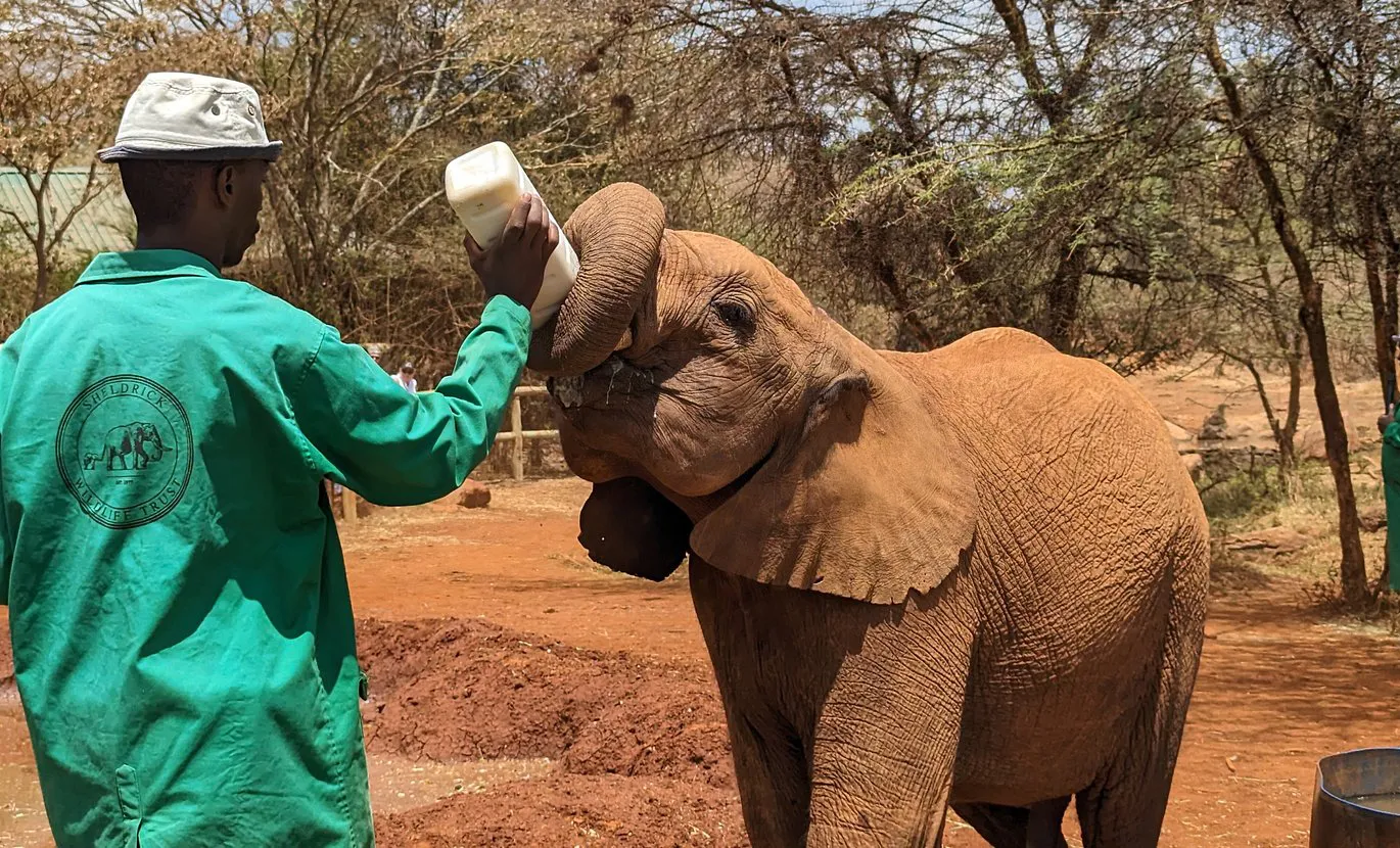 The young orphans love food and receive many bottles